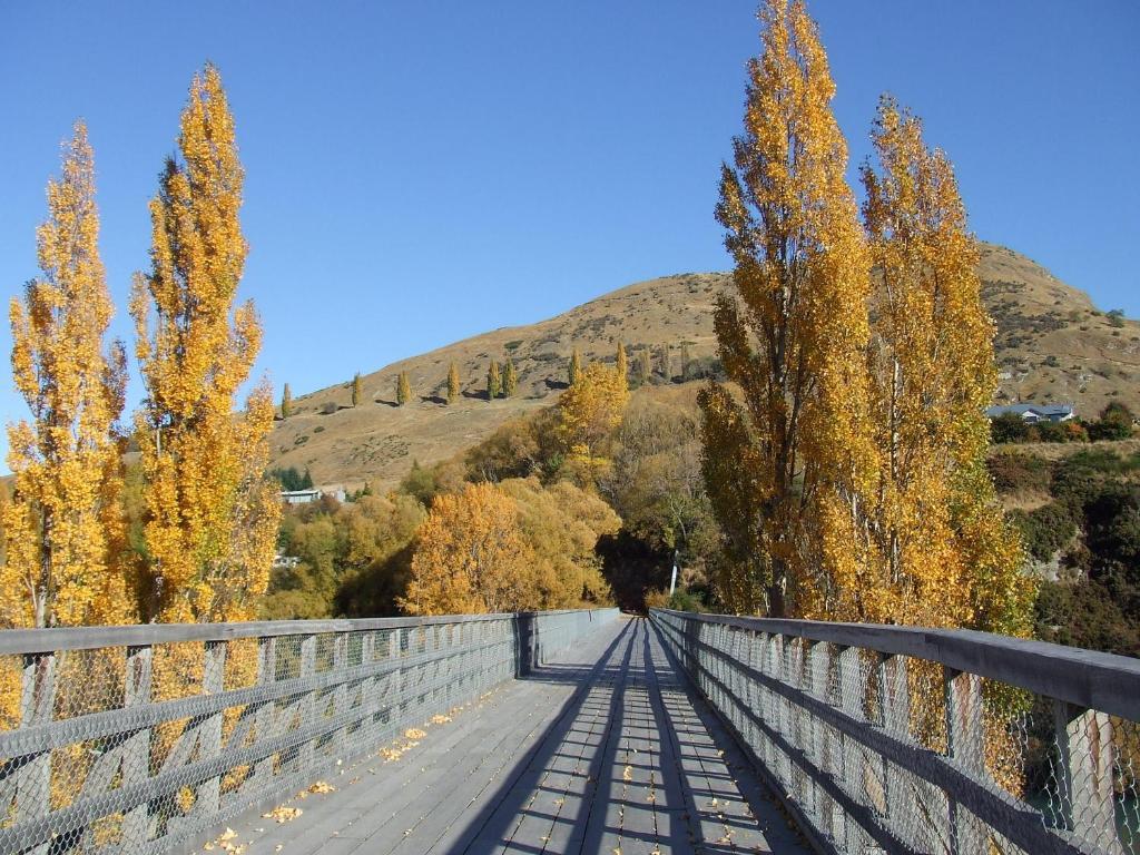 The Ferry Bed & Breakfast Bed and Breakfast Queenstown Værelse billede